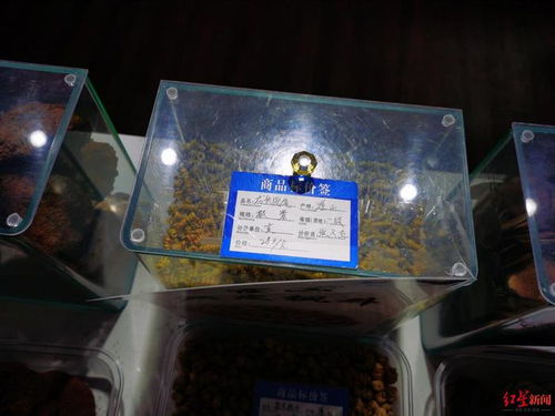 服務(wù)區(qū)高價鹿茸鹿鞭引爭議，高速公司表態(tài)嚴(yán)查整改